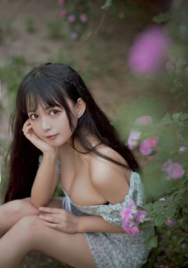宰相小甘罗