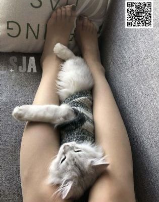 喜欢还是爱