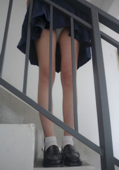 动漫在线观看免费高清