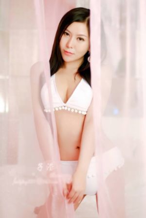 电视剧《真心英雄》在线观看