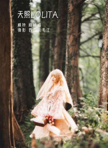 游龙天下