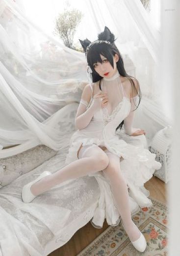 与狐说小说