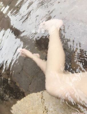 我的团长我的团电视剧