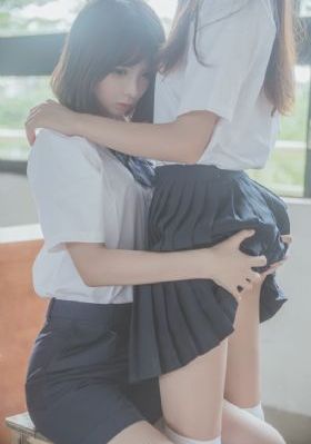 完美伴侣